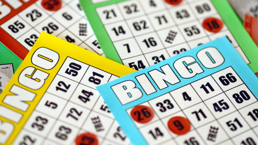 Bingo Bingo