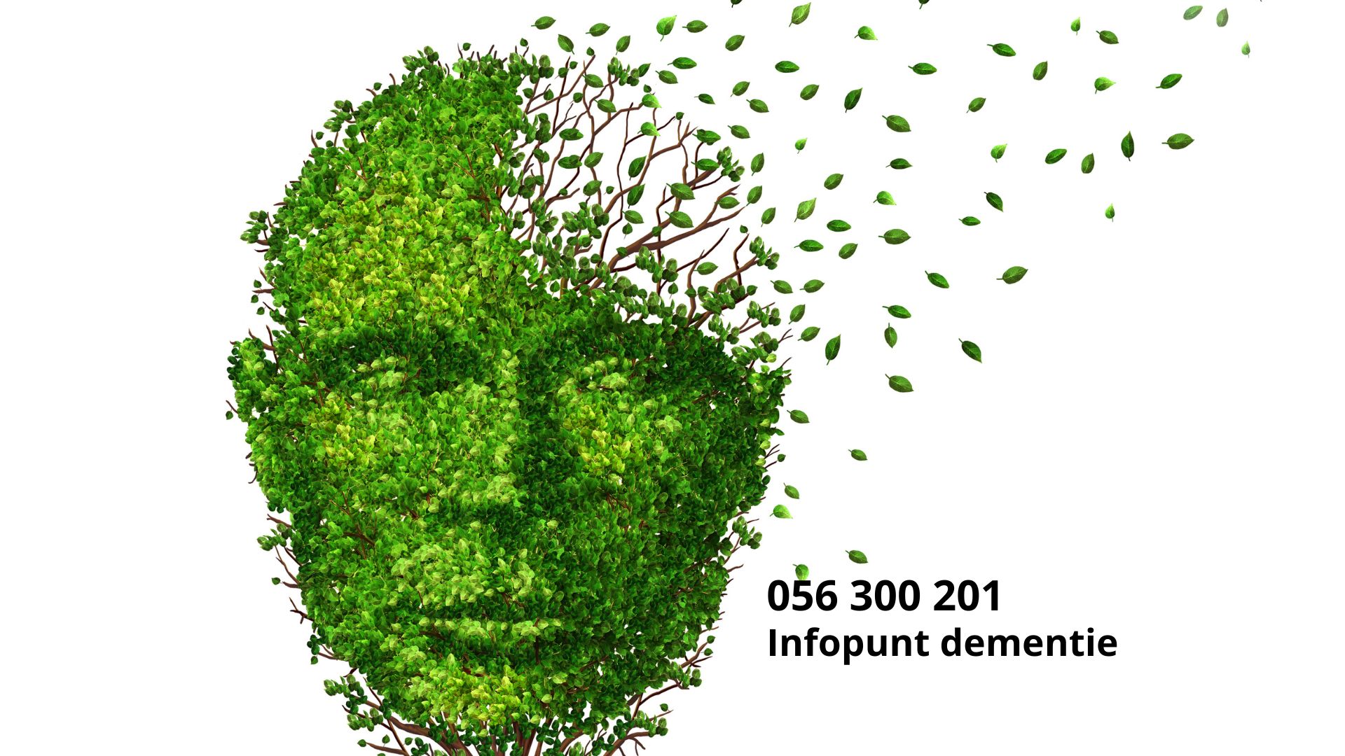 Infopunt Dementie 1