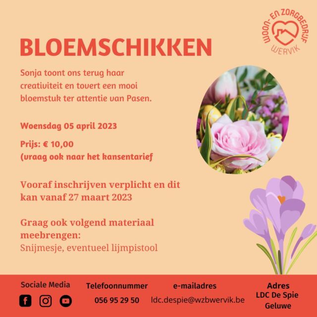 Sonja toon op woensdag 5 april terug haar creativiteit en tovert een mooi bloemstuk ter attentie van Pasen!💐  Breng zeker een snijmesje en eventueel een lijmpistool mee!  #wzbw #woonenzorgbedrijfwervik #wervik #geluwe