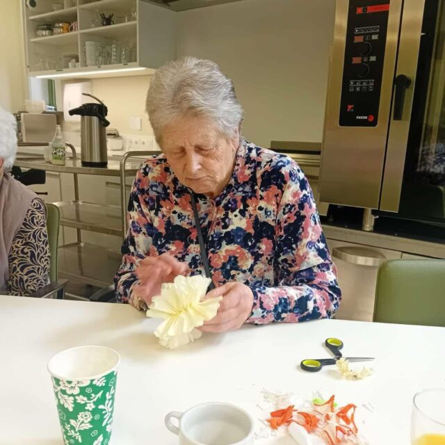 Bloemen maken om de lente te vieren 🌸🌼🌸  #woonenzorgbedrijfwervik #wzbw #wervik #geluwe