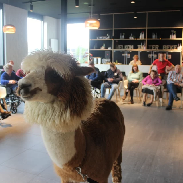 Wat een coole harige dieren krijgen wij op bezoek!!